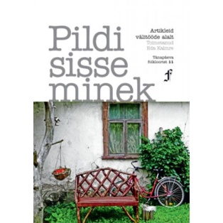 Pildi sisse minek. Tänapäeva folkloorist 11