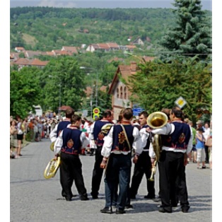 Mäetagused 41