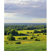 Mäetagused 68