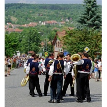 Mäetagused 41
